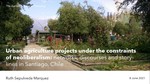 Urban agriculture projects under the constrains of Neoliberalism, networks, discourses and story-lines in Santiago, Chile.